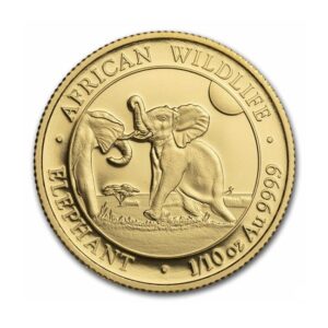 Somali 2024 Elephant 1/10 oz Gold Coin