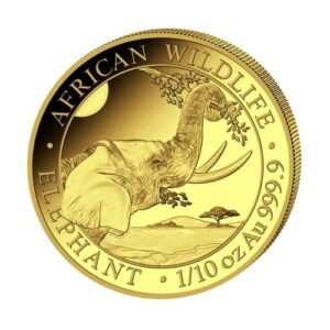 Somali 2023 Elephant 1/10 oz Gold Coin