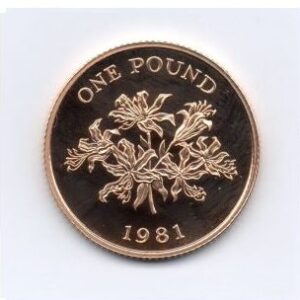 Royal Mint, 1981 Guernsey One Pound Gold Sovereign Coin