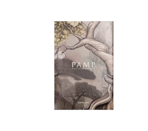 Pamp Suisse, 2025 "The Buddha" 1 oz Silver Bar in Assay (ETA end May early June) - Image 6